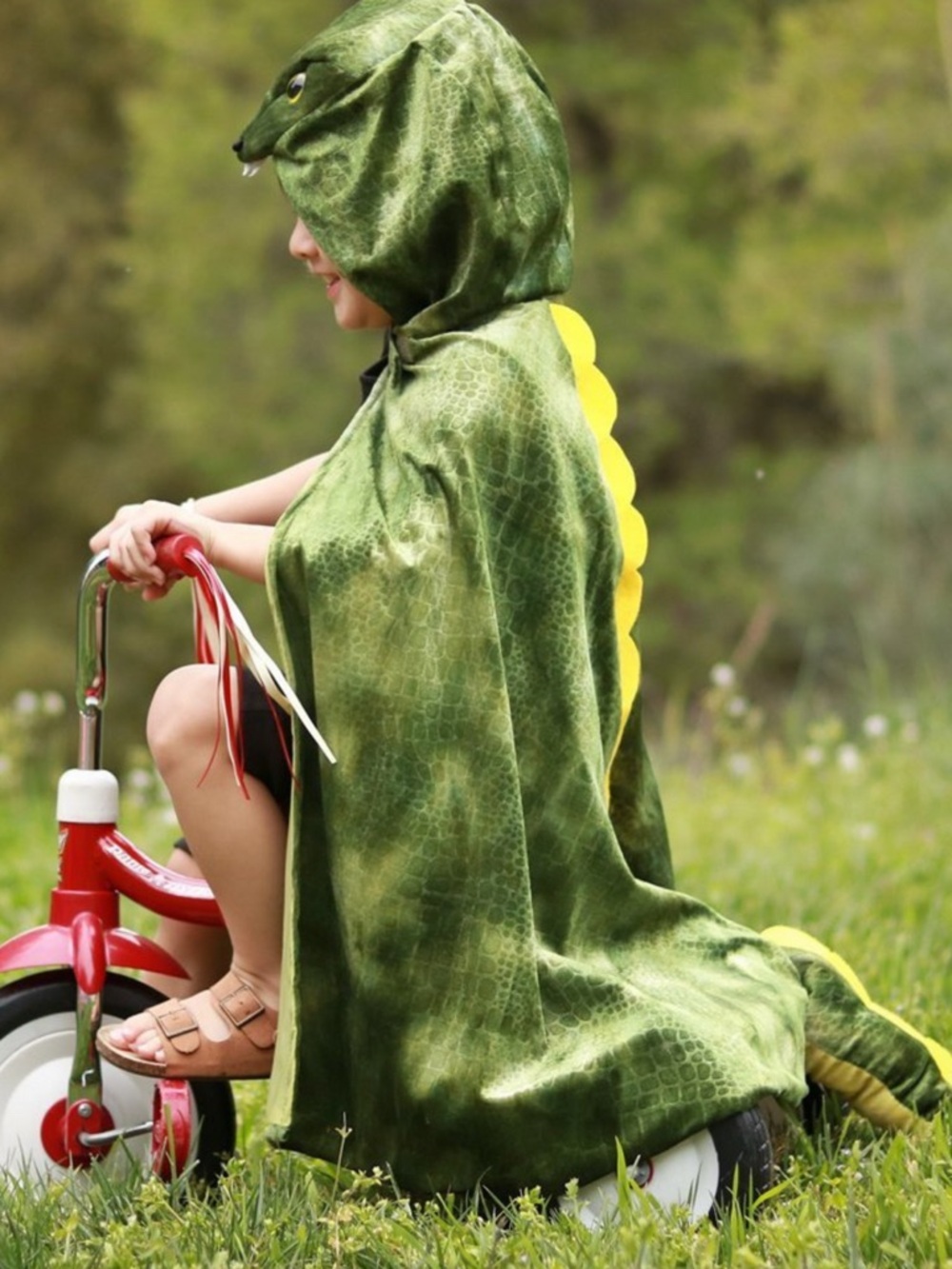 Green Dinosaur Hooded Cape Kids Halloween Costume